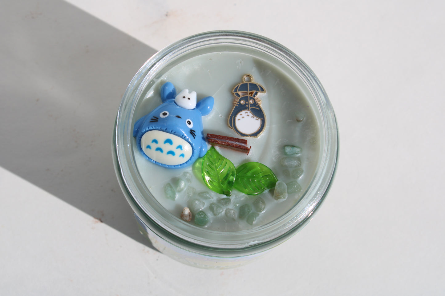 Totoro Rainy day