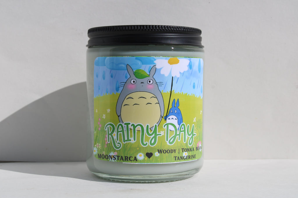 Totoro Rainy day