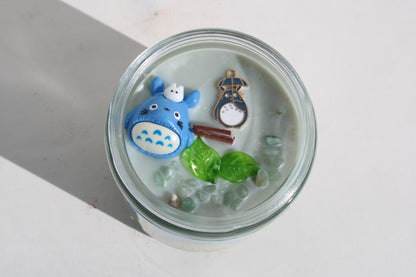 Totoro Rainy day